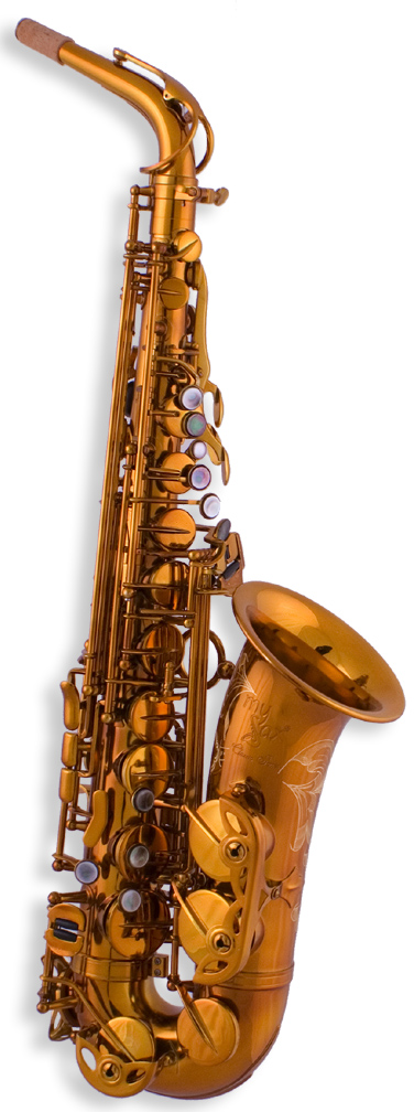 MySax Classic Series Alto in Honeygold!