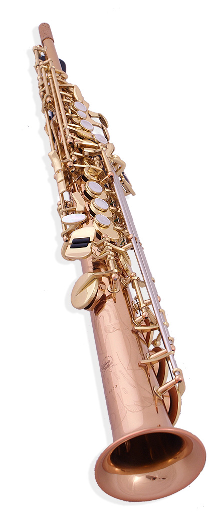 Rental: Selmer (USA) Liberty AS501L Bronze Soprano