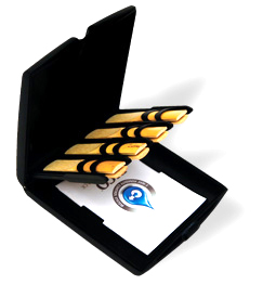 Rico RVCASE04 Reedcase