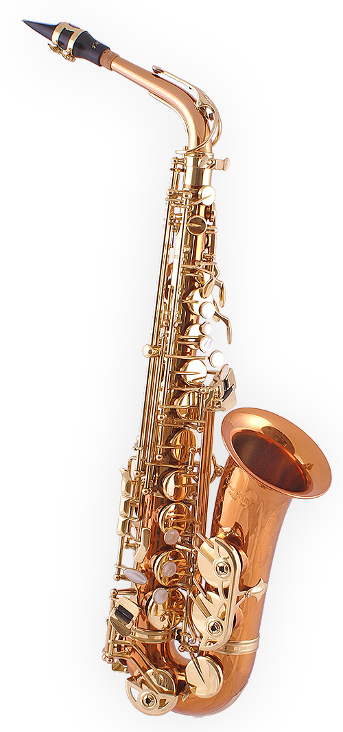 Conn Selmer Avant 200 'bronze' Series Altsax DEMO