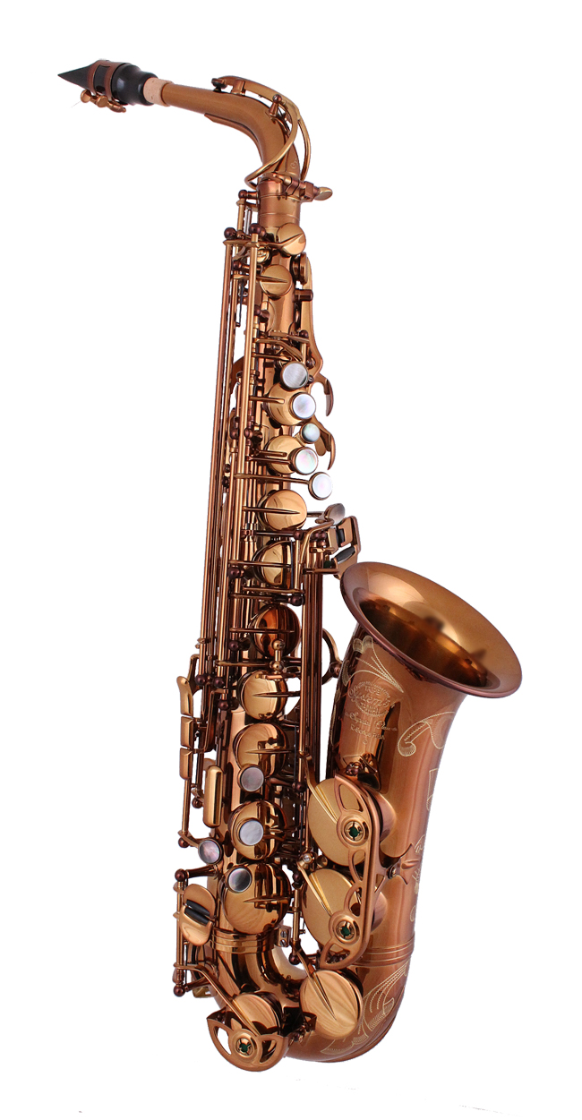 Rental: System'54  R-series Regular Bell Altosaxophone Vintage Gold
