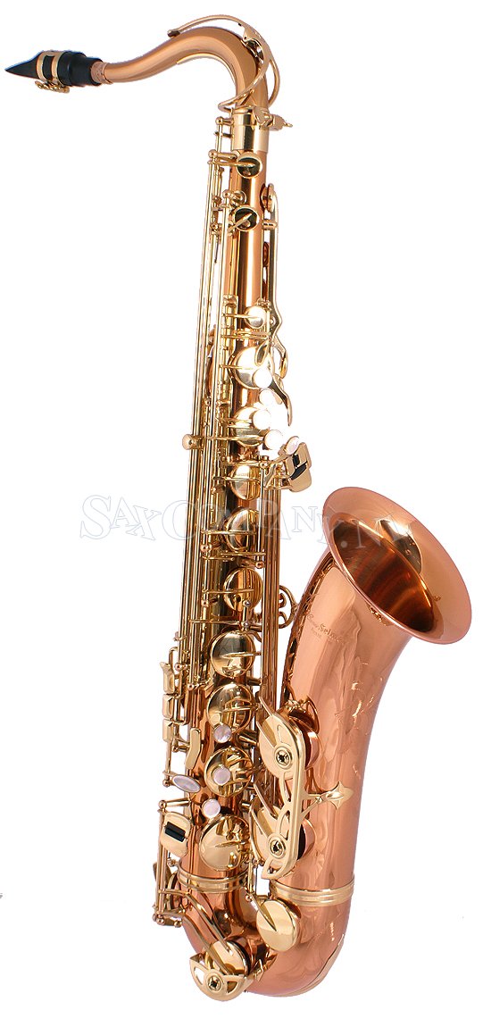Conn-Selmer (USA) Avant 200 ' bronze' series Tenorsax DEMO