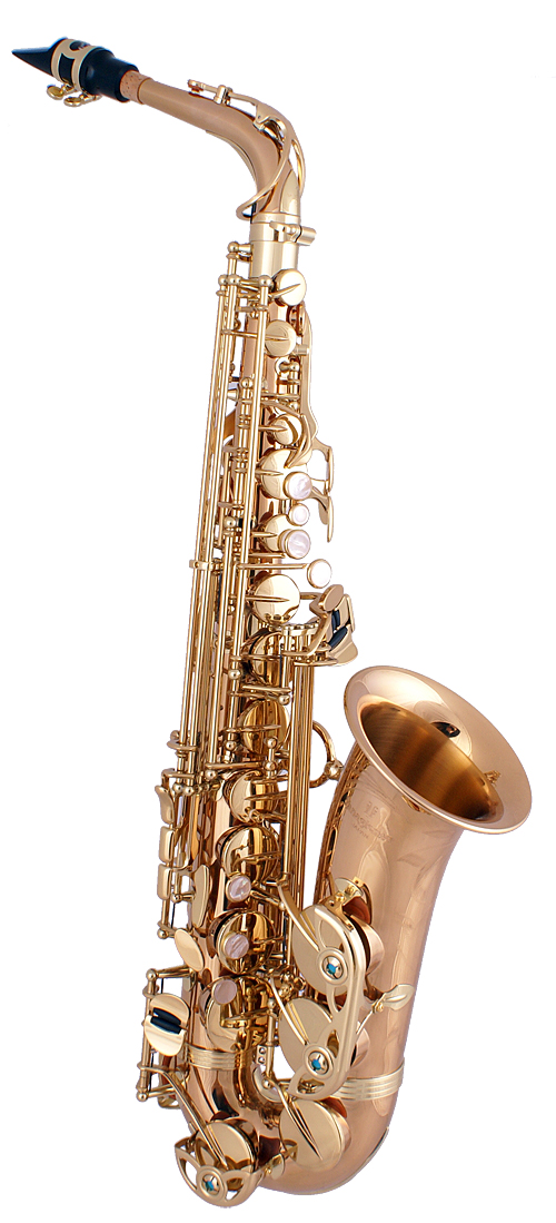 Yanagisawa WO A-WO02 Altsax bronze series